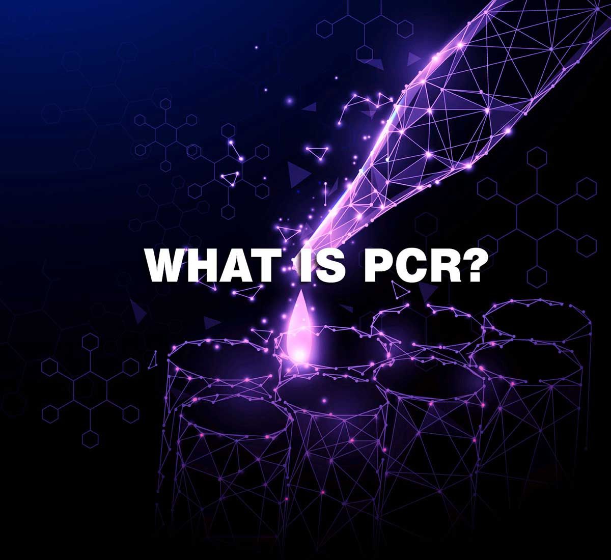 What is PCR?